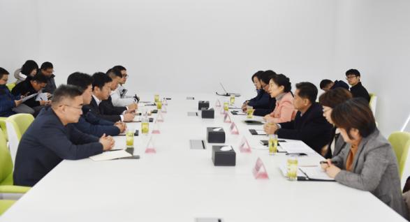 常州市長(zhǎng)盛蕾調(diào)研安靠智電